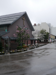 P1050959