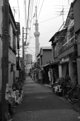 P1020017