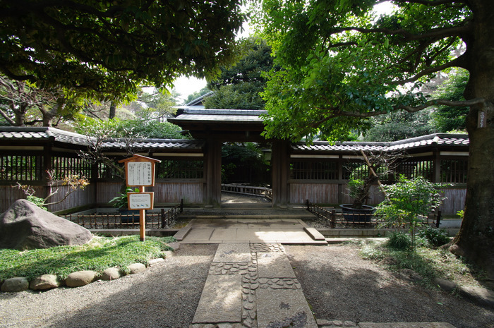 IMGP0223