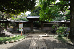 IMGP0223