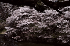 IMGP0626
