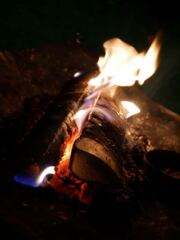 Camp.1