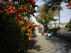 P1070331