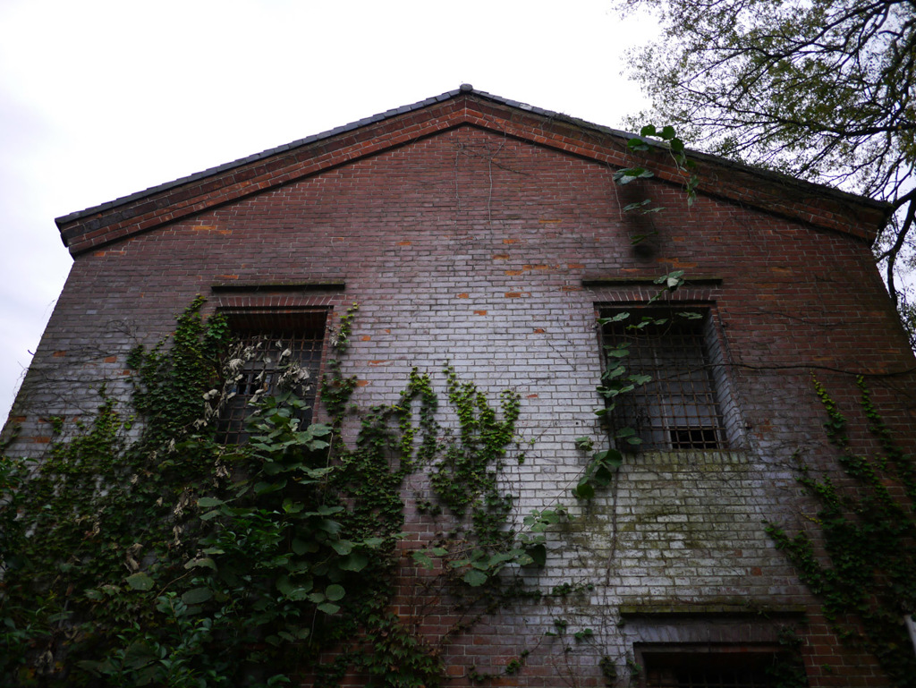 P1080668