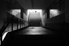 P1030862