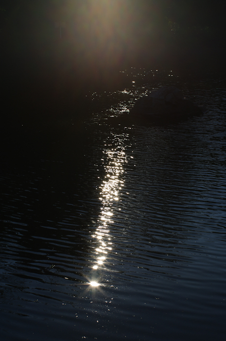 IMGP3853
