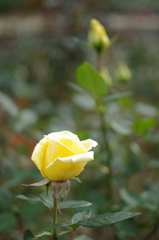 IMGP5183