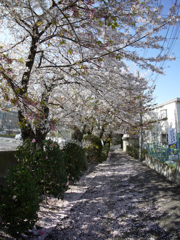 P1090199