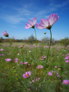 P1200855