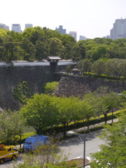 P1010542