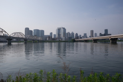 朝