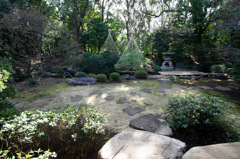 IMGP0113