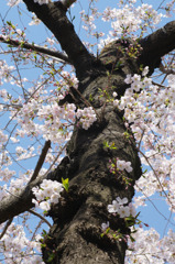 IMGP0444