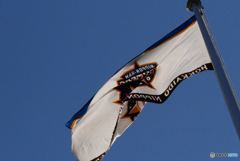 P1020589