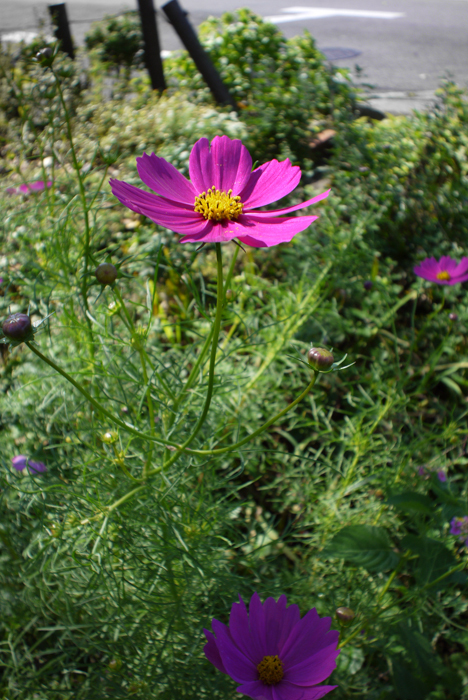 P1070162