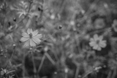 P1060660