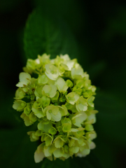 P1010612