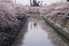 P1070635