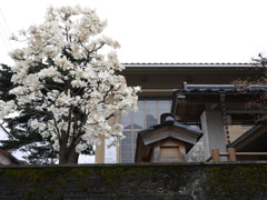 P1050768
