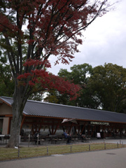 P1080699