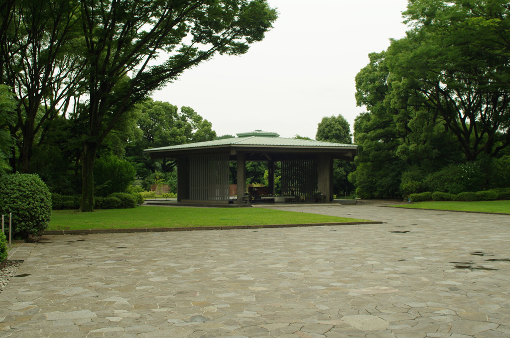 IMGP0959