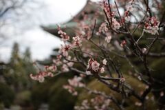 IMG_1507