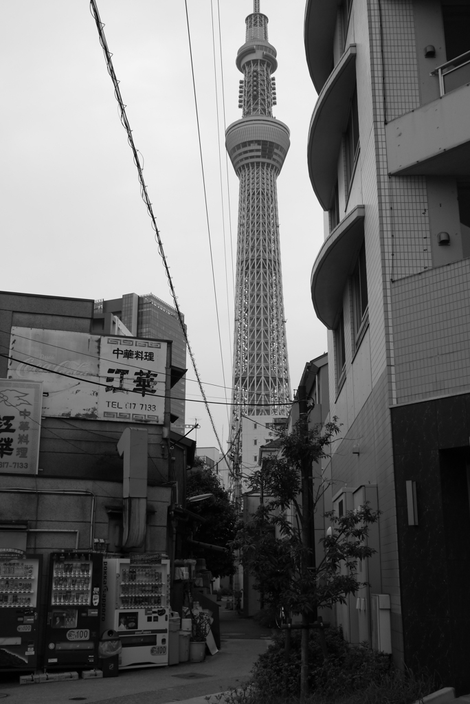 P1020026