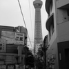P1020026