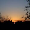 IMG_0575