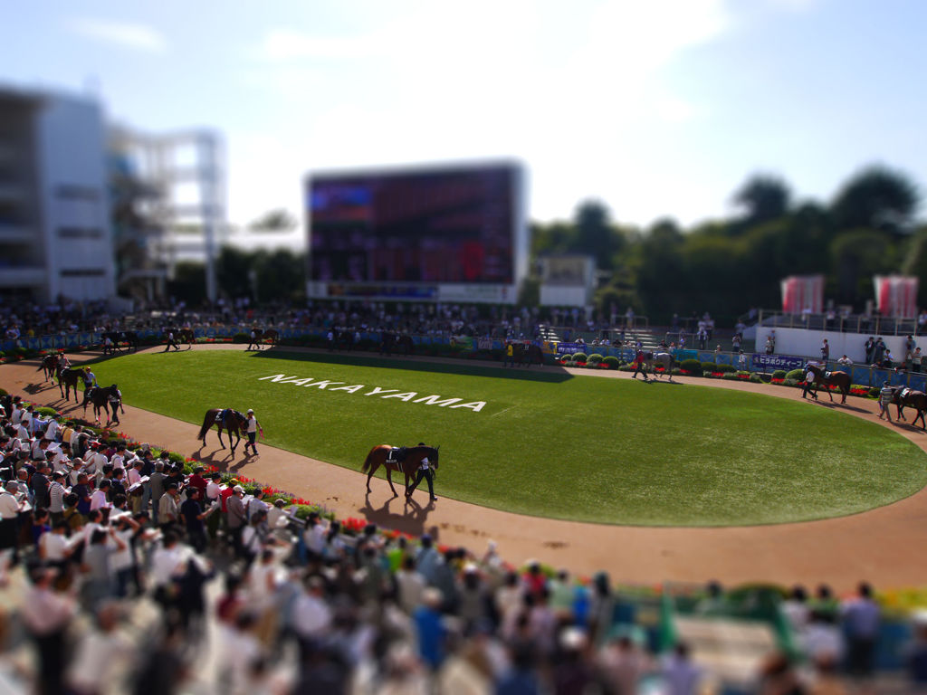 P1020077-tiltshift