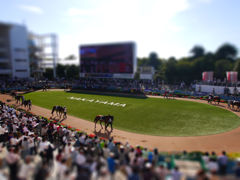 P1020077-tiltshift