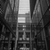 IMG_5808