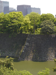P1010541