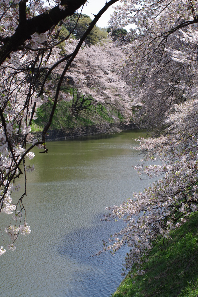 IMGP0634