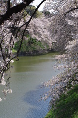IMGP0634