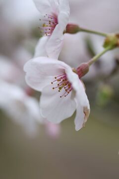 IMG_1958