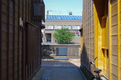 IMGP5136