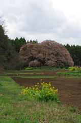 IMGP6352