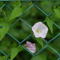 P1010636
