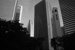 P1070292
