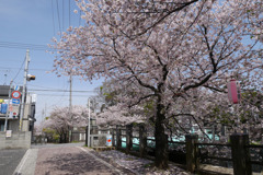 P1070648