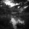 P1080384