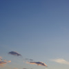 IMGP8901