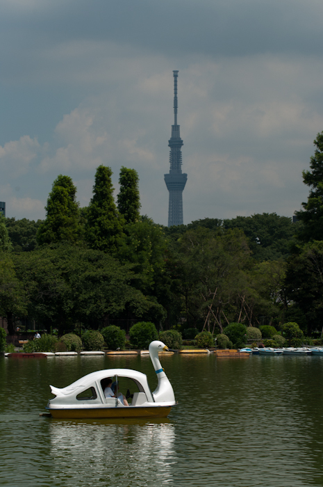 IMGP4433