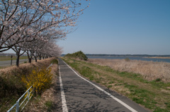 IMGP3553