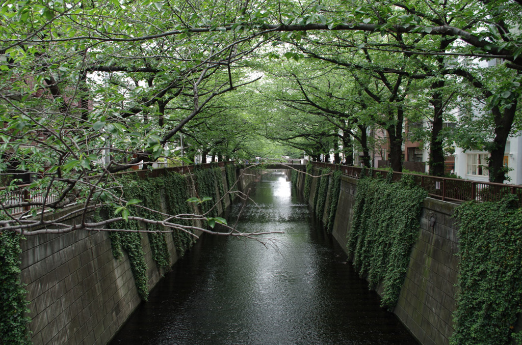 IMGP8439
