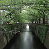IMGP8439