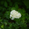 P1040424