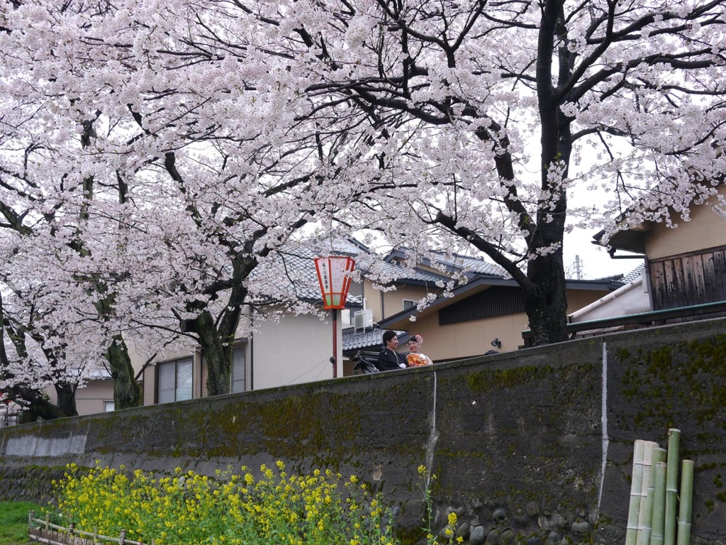 P1050769