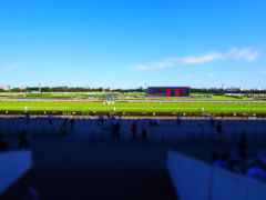 P1020081-tiltshift